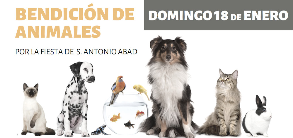Bendición de animales domésticos por San Antonio Abad